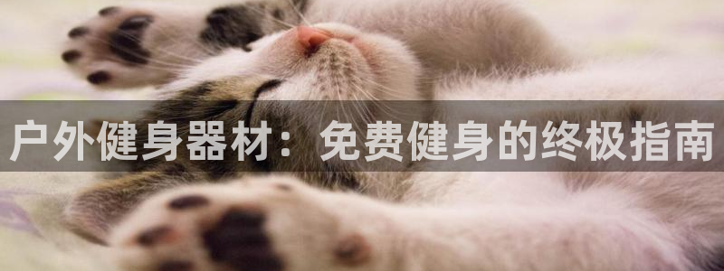龙8国际头号玩家是谁
