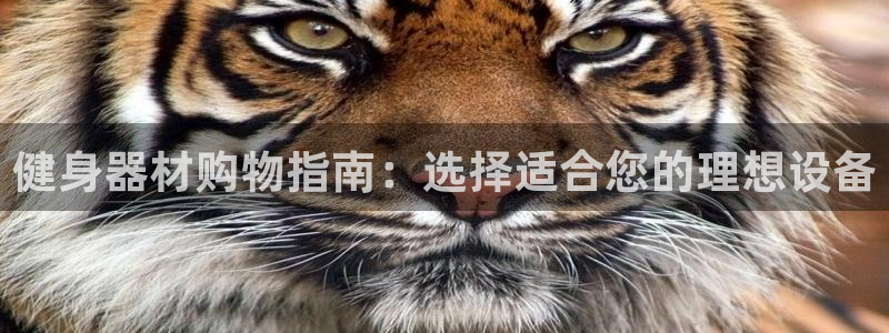 龙八国际唯一官网