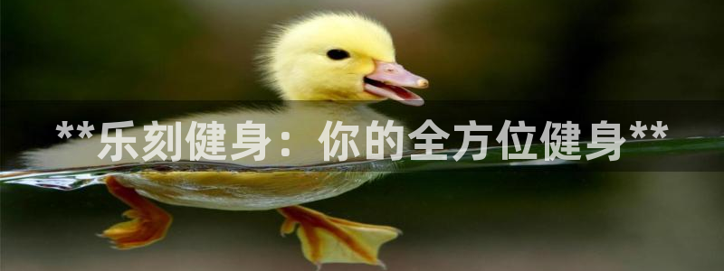 龙8国际官网-手机点此进入