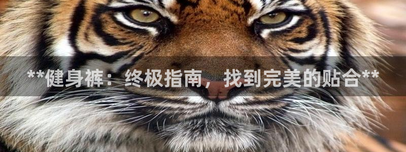 龙8国际pt网址