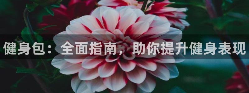 龙8国际正规吗