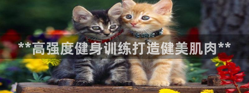 龙8国际网页登陆