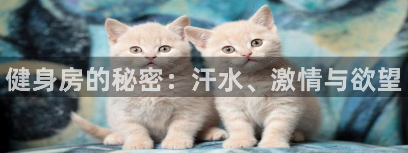 龙8国际官方网手机版下载安装