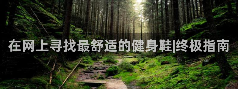 龙8国际app下载客户端