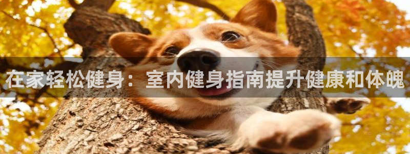 龙8国际官网 点此进入