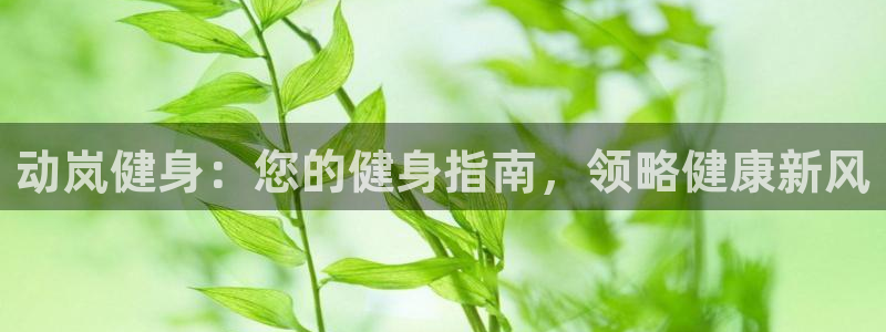 龙8老虎机手机版