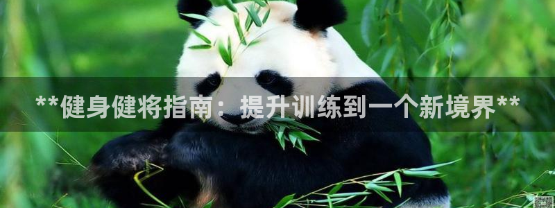 龙8国际游戏官方网站