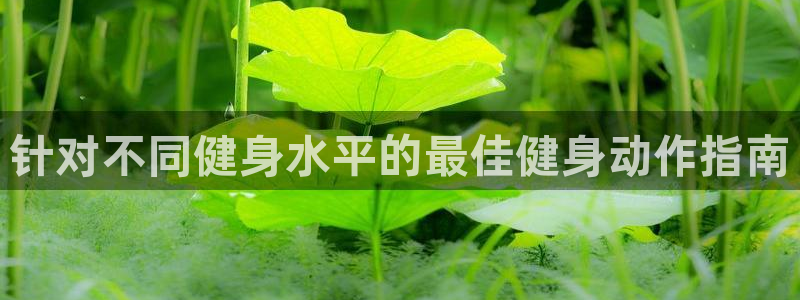 龙8国际2021官方网站pkufli5.10