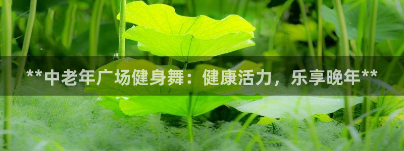 龙8国际服