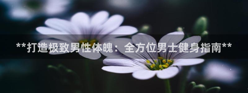 龙8国际是什么平台