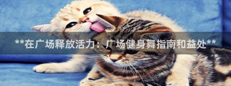 龙8国际手机版app