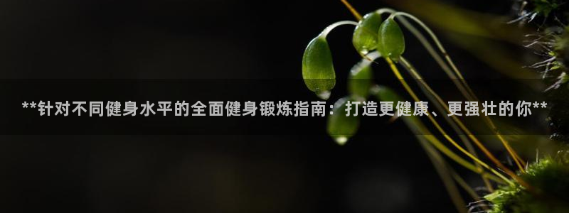 龙8国际娱首页