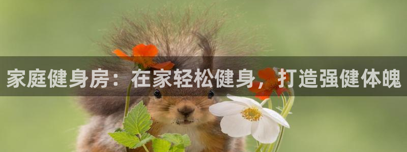 龙八国际网页