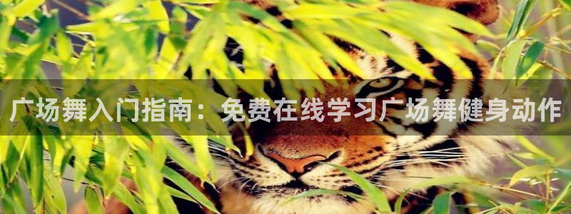 龙8国际游资如何