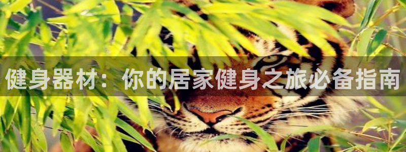 龙8国际是什么