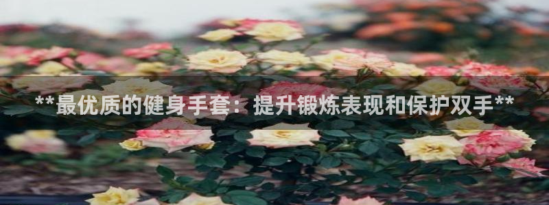 龙八国际娱