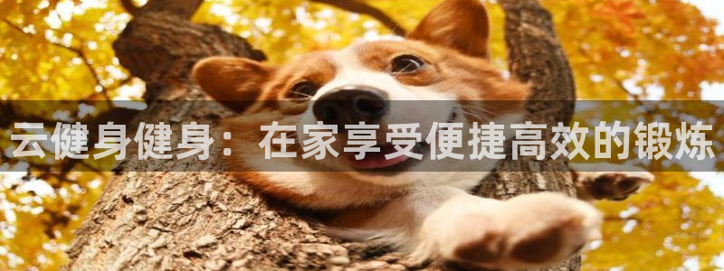 龙8国际游戏公司官网