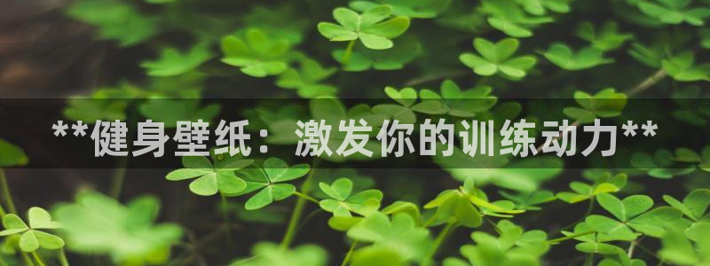 龙8国际黑吗
