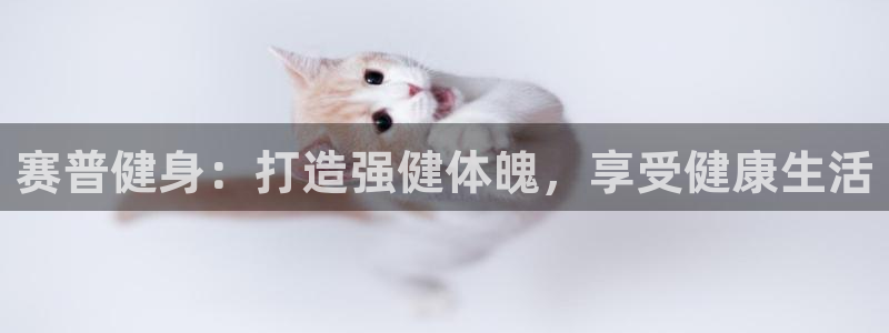 龙8国际中国官方网站