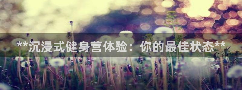 龙8国际电子平台