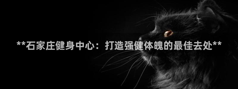 龙8国际安卓官方版fxzls-1.2.1 -安卓