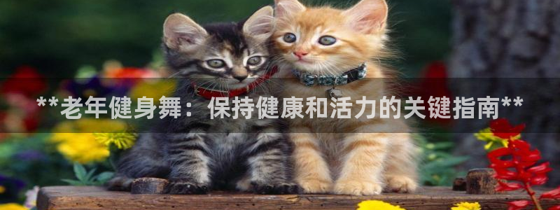 龙8国际官网