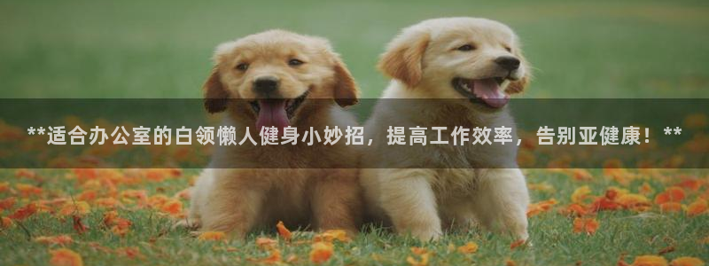 龙8国际网站