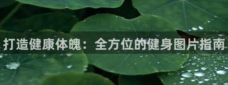 龙8国际游戏官方进入的介绍