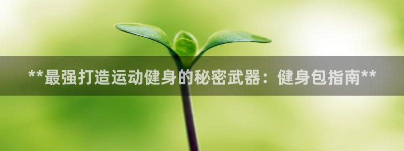 龙8国际平台输了多少