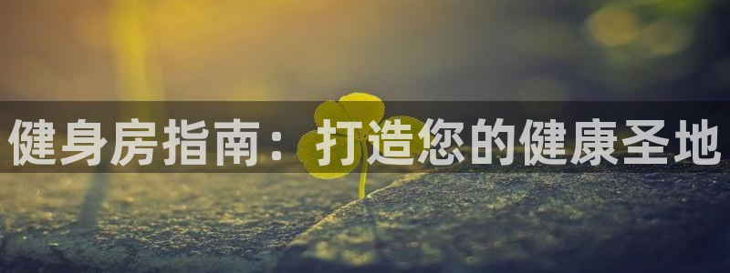 龙8国际客服