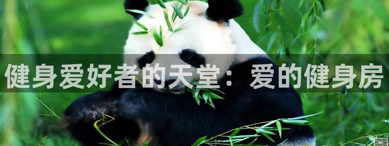 龙8国际官网 - 点此进入