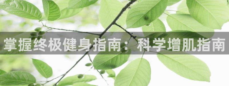 龙8国际手机游戏官网