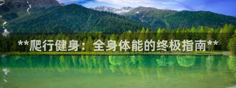 龙8国际app客户端下载不了