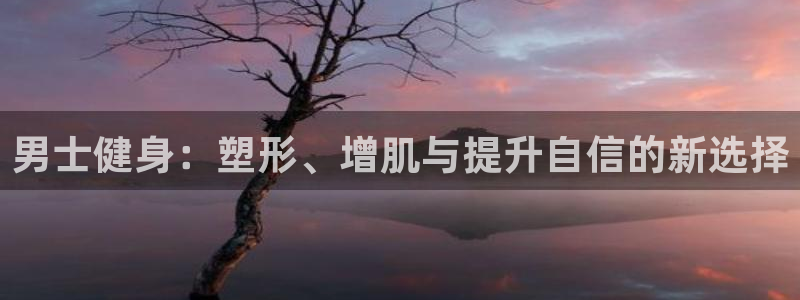 龙8国际平台官网