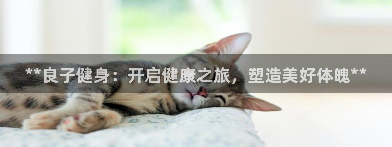 龙8国际中国官方网站