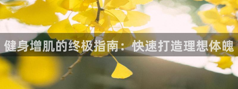 龙8国际唯一官网手游登录入口