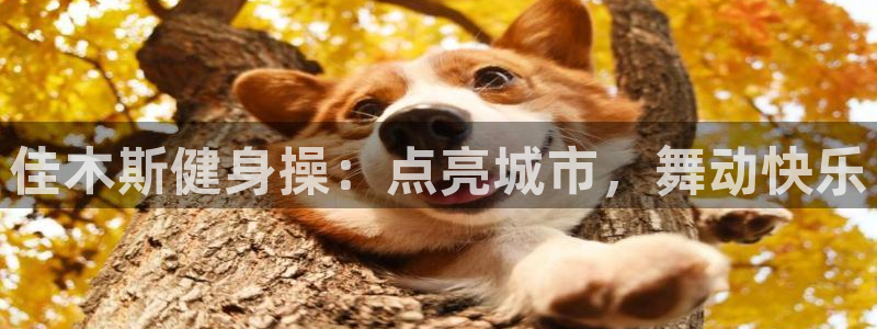 龙8国际ing