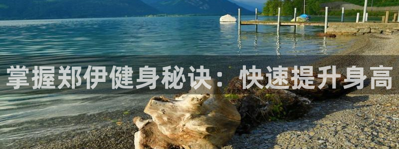 龙8国际网站怎么样