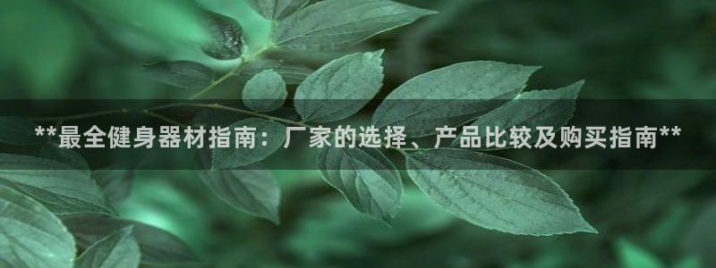 龙8国际3.0