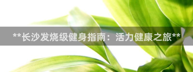 龙8国际开户