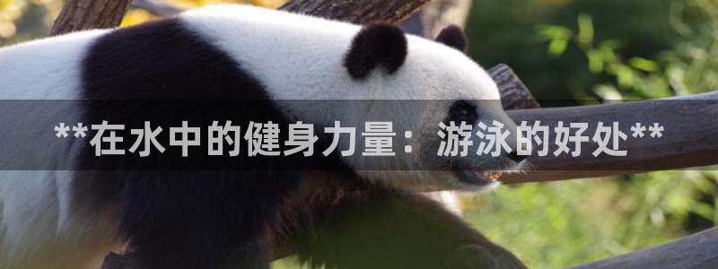 龙8国际官网登录口