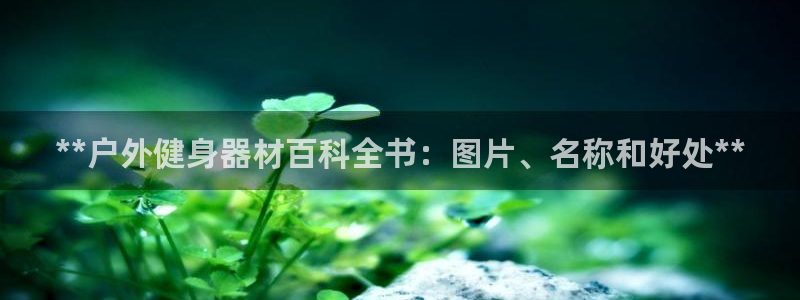 龙8国际官网娱乐