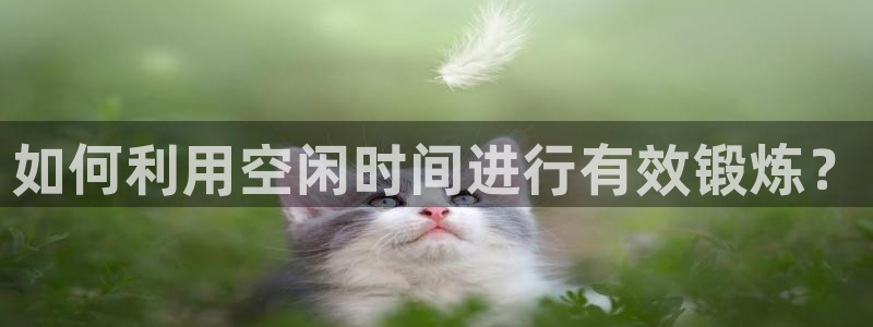 龙8国际官方网站