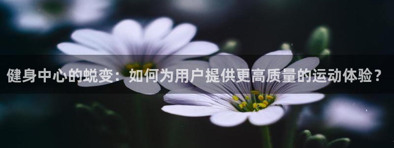 龙8国际游戏官方网站