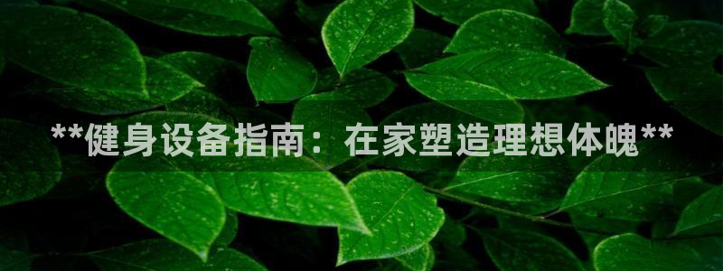 龙八国际娱乐官方网站