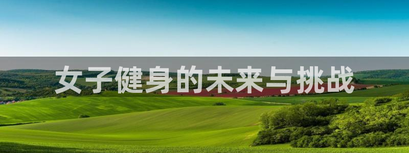 龙8国际现金