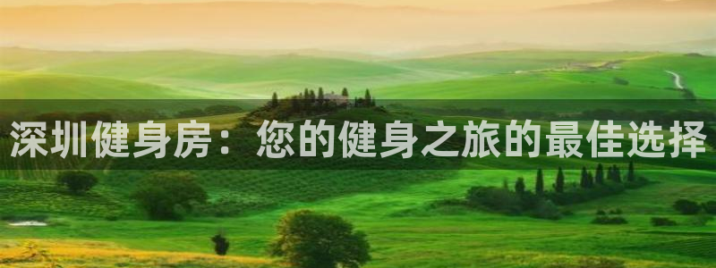 龙8国际手机版