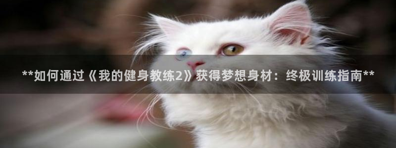 龙8国际官方网站龙8国际pt老虎机