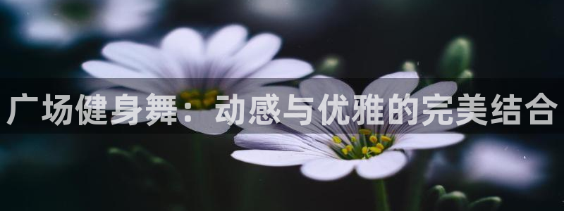 龙8国际唯一官网官方版
