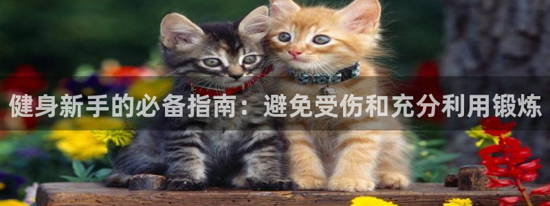 国际龙8hk